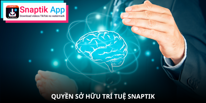 Giải thích quyền sở hữu và bảo vệ nội dung
