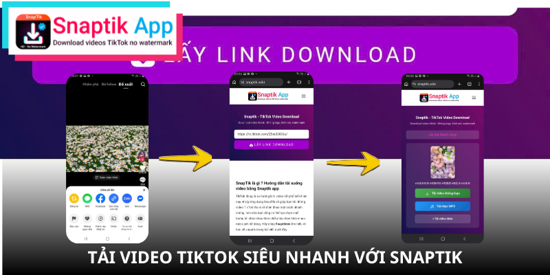 snaptik-vs-ssstik-tai-video-tiktok-vơi